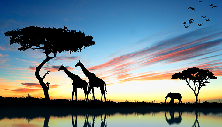 Africa - a fantastic holiday destination